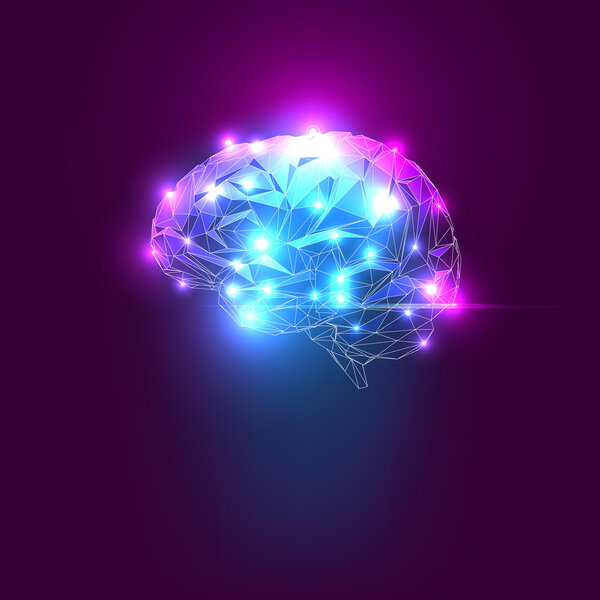 Человеческий мозг
