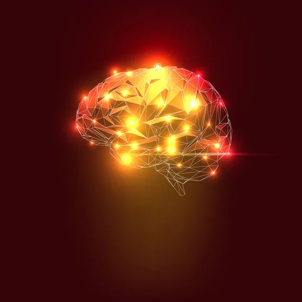 Анотація людський мозок — стоковий вектор