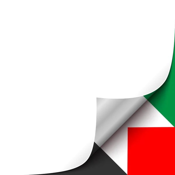 Esquina de papel rizado con fondo de bandera de Palestina . — Vector de stock