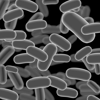 Listeria sopa koyu arka plan üzerinde