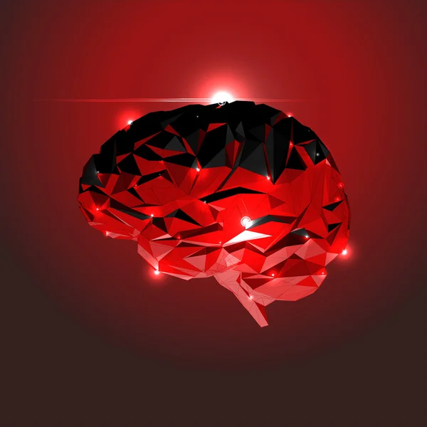 Cerebro humano abstracto — Vector de stock