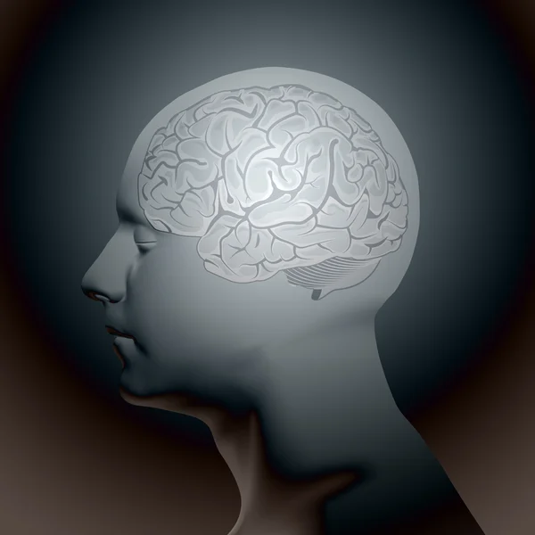 Cabeza humana abstracta con cerebro . — Archivo Imágenes Vectoriales
