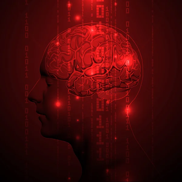 Cerebro humano activo con dígitos binarios — Vector de stock