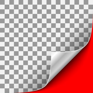 Gümüş kıvrılmış köşe