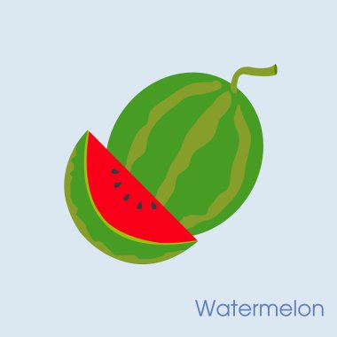 karpuz vektör tasarımı