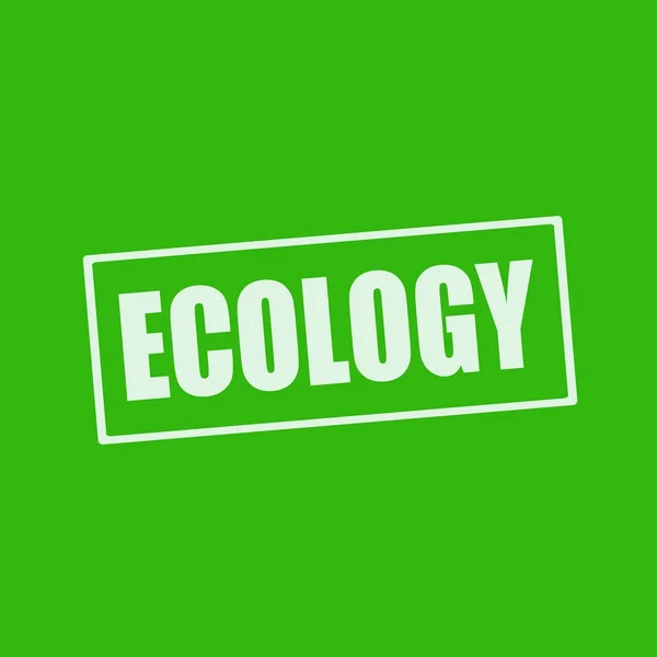 Ecology white wording on rectangle green background — Stock Photo, Image