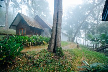 Pong-dueat 17 Aralık 2015: 