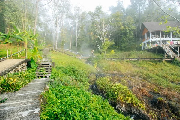 Pong-dueat 17 December 2015:"Spring in the Mist " Chiang Mai Thailand — Stock Photo, Image