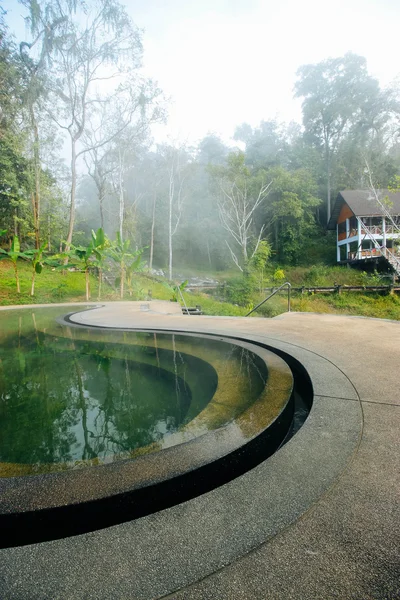 Pong-dueat 17 Aralık 2015: "Bahar Sisteki" Chiang Mai Tayland — Stok fotoğraf