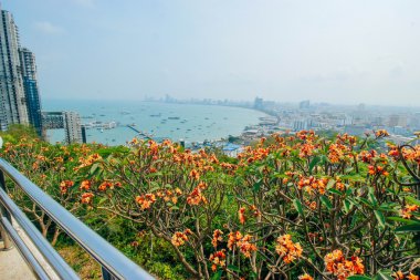 Pattaya 23 Mart 2016: 