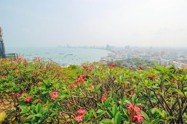 Pattaya 23 Mart 2016: 