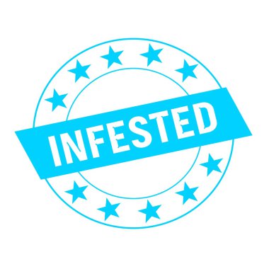 Beyaz mavi dikdörtgen ve daire ifadeler mavi yıldız dolu