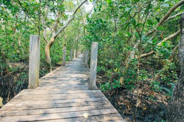 Tung Prong tanga 24 Mart 2016: 