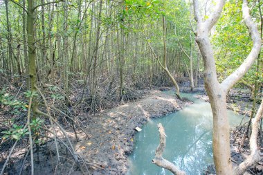 Tung Prong tanga 24 Mart 2016: 