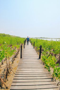 Tung Prong tanga 24 Mart 2016: 