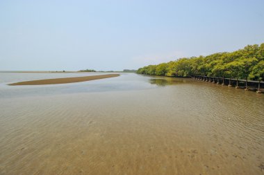 Tung Prong tanga 24 Mart 2016: 