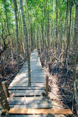 Tung Prong tanga 24 Mart 2016: 