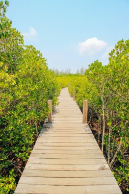 Tung Prong tanga 24 Mart 2016: 