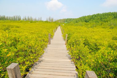 Tung Prong tanga 24 Mart 2016: 