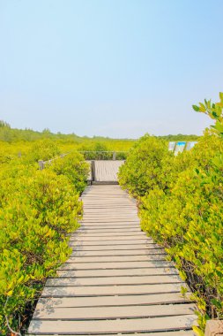 Tung Prong tanga 24 Mart 2016: 