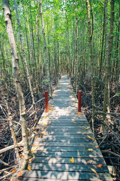 Tung Prong Thong 24 mars 2016: "Boardwalk Tung Prong Thong gyllene Mangrove fältet" Rayong Thailand — Stockfoto