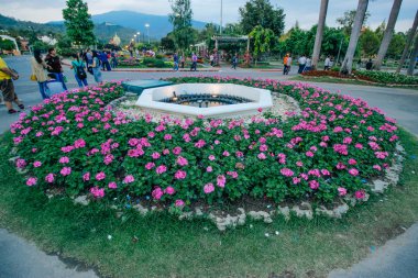 ratchaphruek-Bahçe 18 Aralık 2015: 