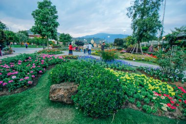 ratchaphruek-Bahçe 18 Aralık 2015: 