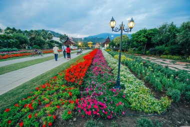 ratchaphruek-Bahçe 18 Aralık 2015: 