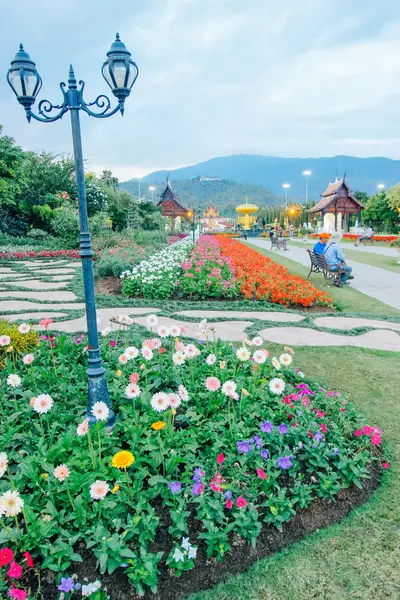 Ratchaphruek-κήπος 18 Δεκεμβρίου 2015: «Χο Kham Luang και χλωρίδας Φεστιβάλ» Τσιάνγκ Μάι, Ταϊλάνδη — Φωτογραφία Αρχείου