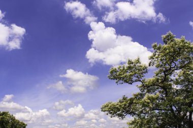 Mekong Nehri Ubon, Tayland