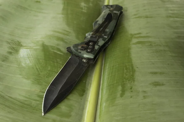 Μαχαίρι Banana leaf — Φωτογραφία Αρχείου