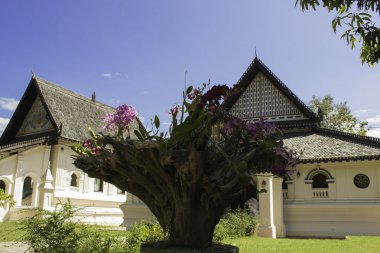 Tayland Tapınağı
