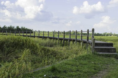 Tayland tapınak Isan