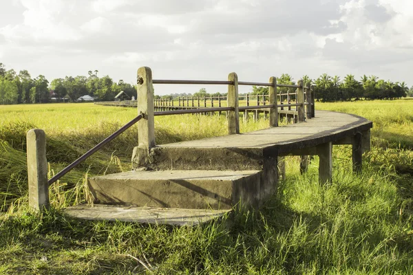 タイ寺院の遺産 — ストック写真