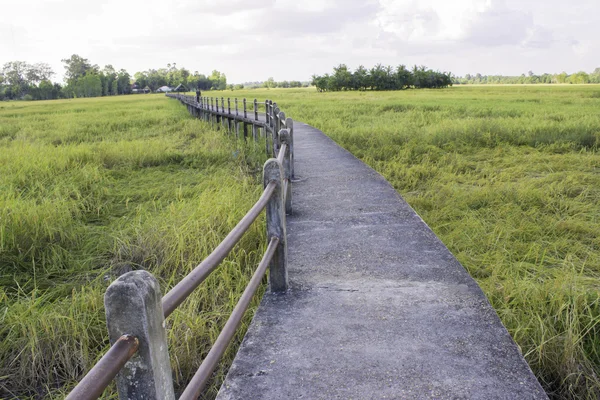 Campos puente — Foto de Stock