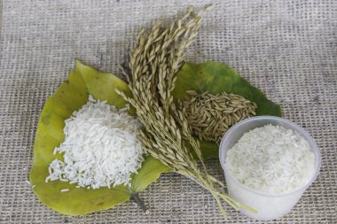Tayland pirinç