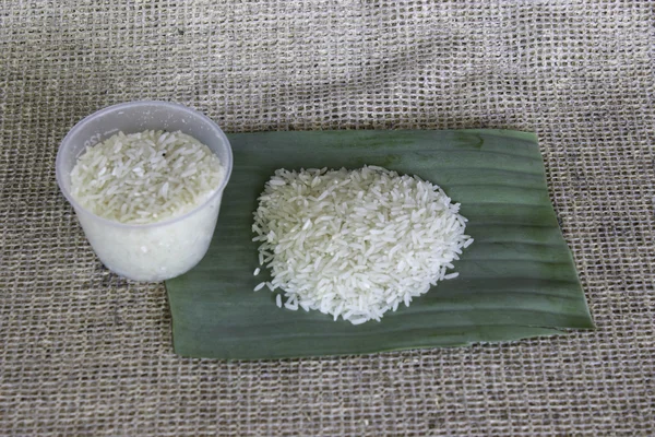 Thailand rice — Stock Photo, Image