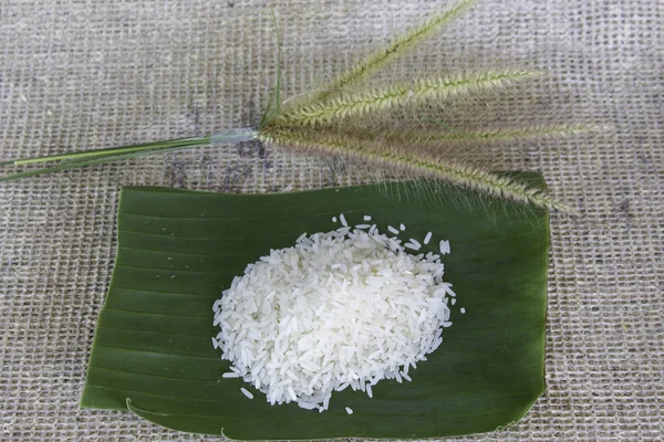 Tailândia arroz — Fotografia de Stock