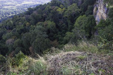Kez Pha Mo ben Daeng Sisaket, Tayland