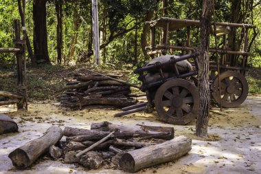 Retrospektif sergi film Alexander