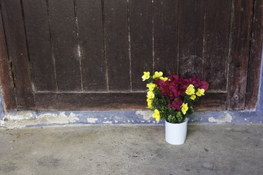 Sarı çiçek arka plan ev.