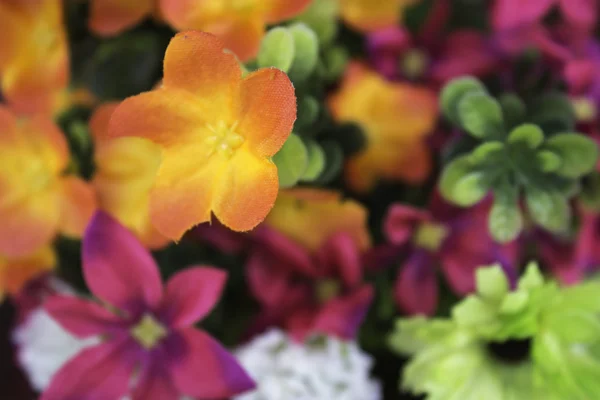 Färgglada plastblommor — Stockfoto