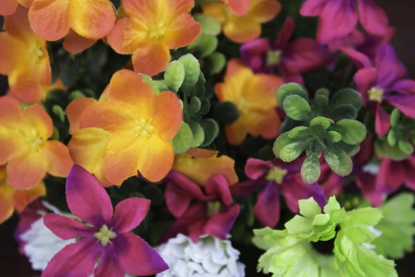 カラフルなプラスチック製の花 — ストック写真