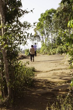 Phuhinrongkla Milli Parkı, Tayland