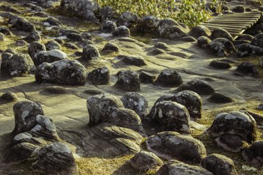 Phuhinrongkla Milli Parkı, Tayland