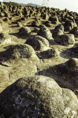 Phuhinrongkla Milli Parkı, Tayland