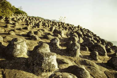 Phuhinrongkla Milli Parkı, Tayland