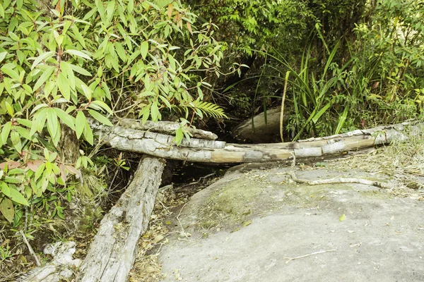 Parque Nacional de Phuhinrongkla, TAILANDIA — Foto de Stock