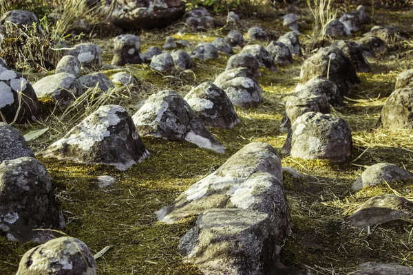 Phuhinrongkla Milli Parkı, Tayland — Stok fotoğraf