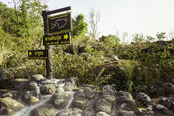 Phuhinrongkla National Park,THAILAND — Stock Photo, Image